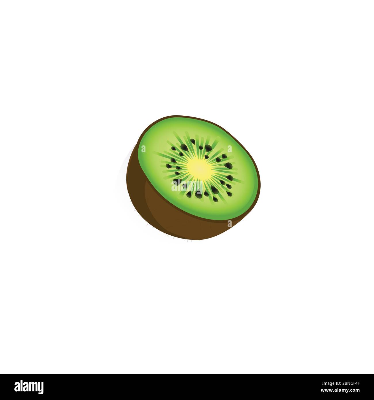 Whole kiwi fruit and his sliced segments isolated on white background cutout Stock Vector
