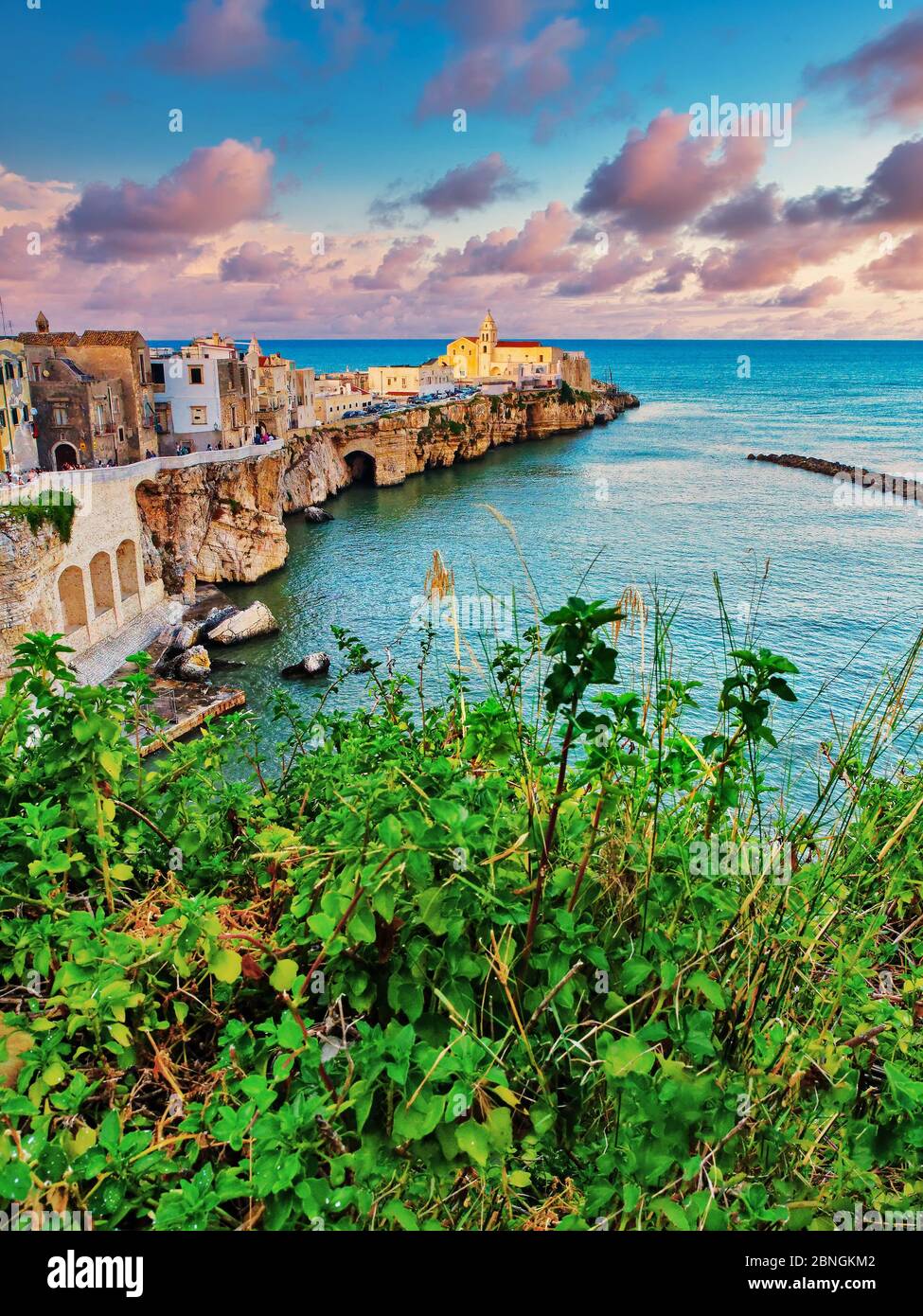 Panoramic view of little town of Vieste in summer in Apulia south of Italy cityscape of Vieste coastal town in Gargano National Park, Italy, Europe Stock Photo