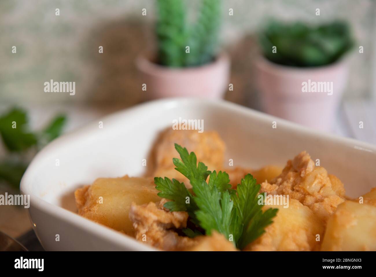 tuna and potato stew called marmitako. Traditional Basque recipe with ...