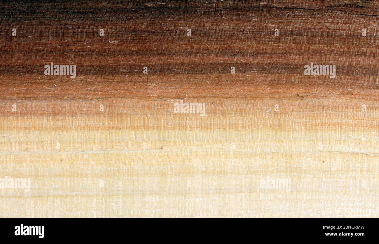 Old wood background Stock Photo