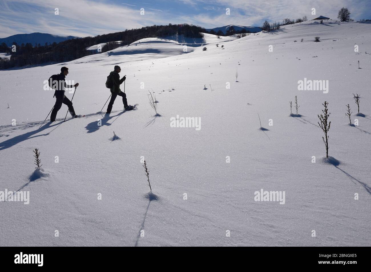 Central apennines rewilding area hi-res stock photography and images ...