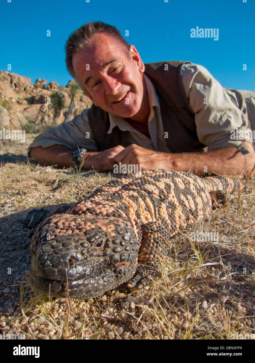 Presenter Nigel Marven with Gila Monster (Heloderma suspectum) Arizona, USA, October 2013. Stock Photo