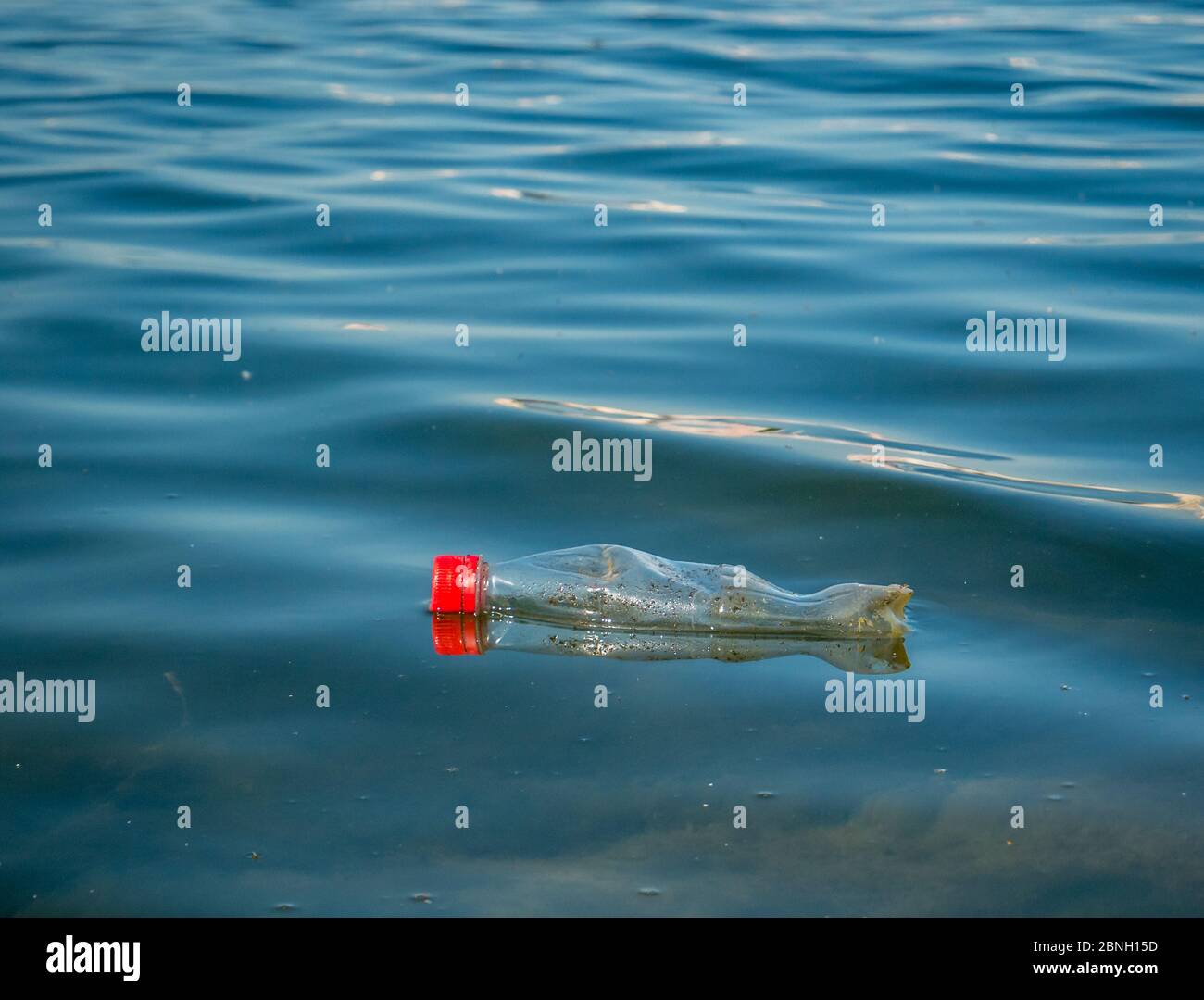A PET plastic bottle floating on water of a lake in Bucharest, Romania