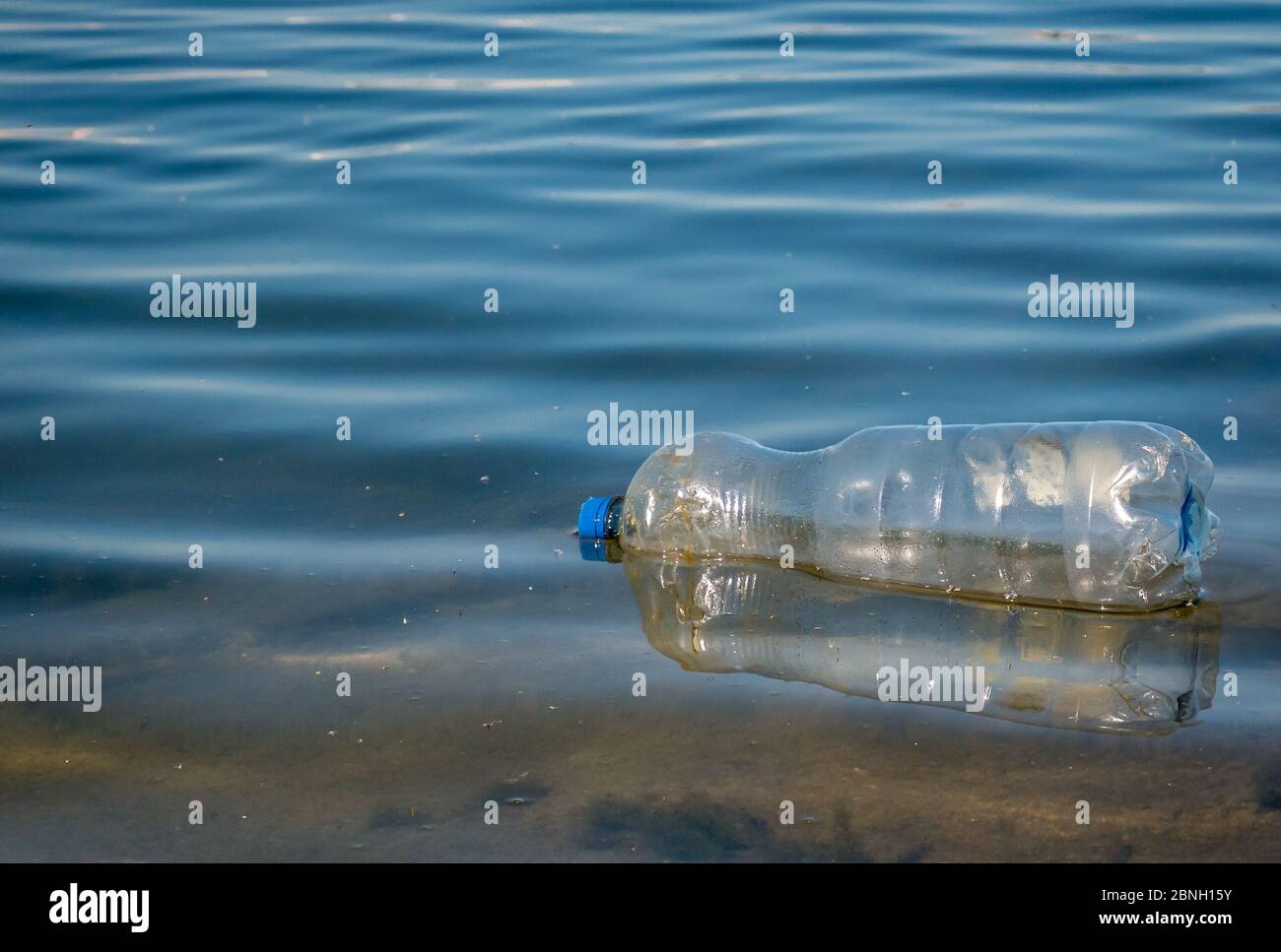 A PET plastic bottle floating on water of a lake in Bucharest, Romania