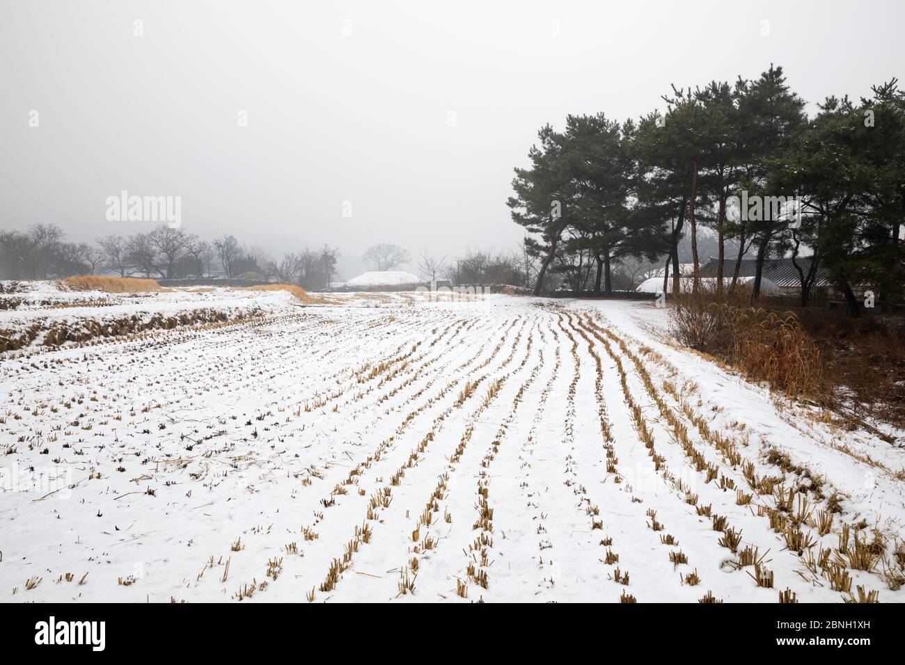 Winter in Korea, snowy countryside landscape Oeam Folk Village. Stock Photo