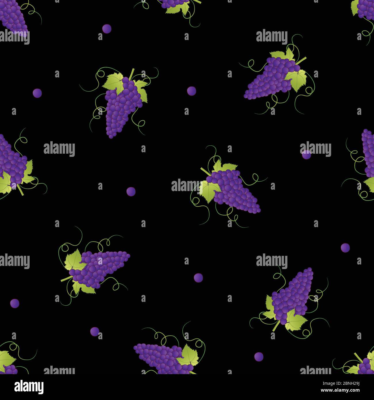 Pueple Grape on Black Background. Vector Illustration. Stock Vector
