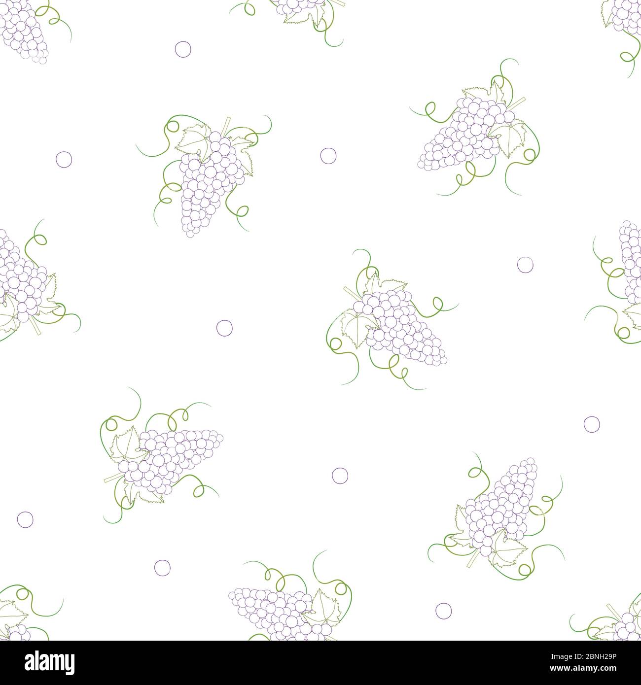 Colorful Line Grape on White Background. Vector Illustration. Stock Vector