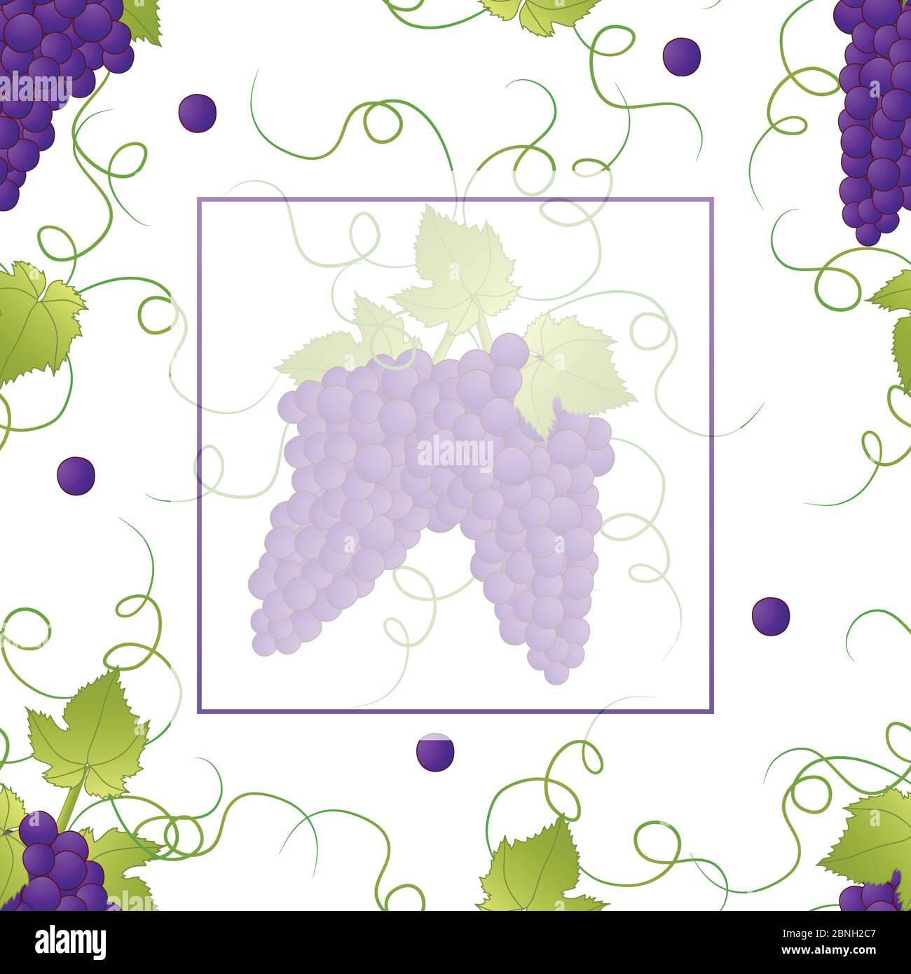 Pueple Grape Banner on White Background. Vector Illustration. Stock Vector