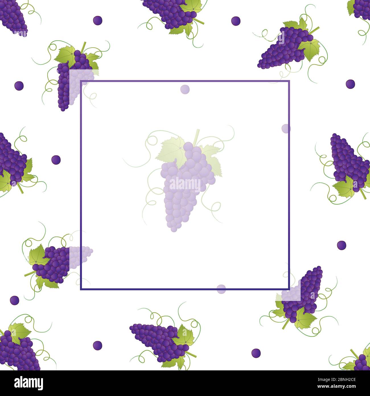 Pueple Grape Banner on White Background. Vector Illustration. Stock Vector