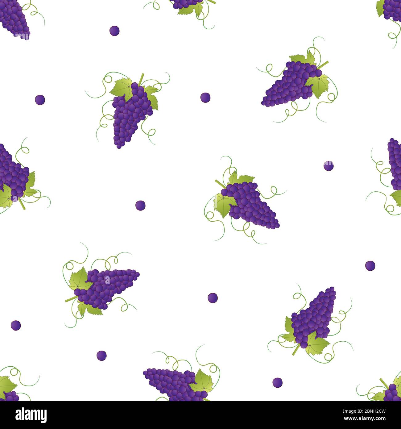 Pueple Grape on White Background. Vector Illustration. Stock Vector