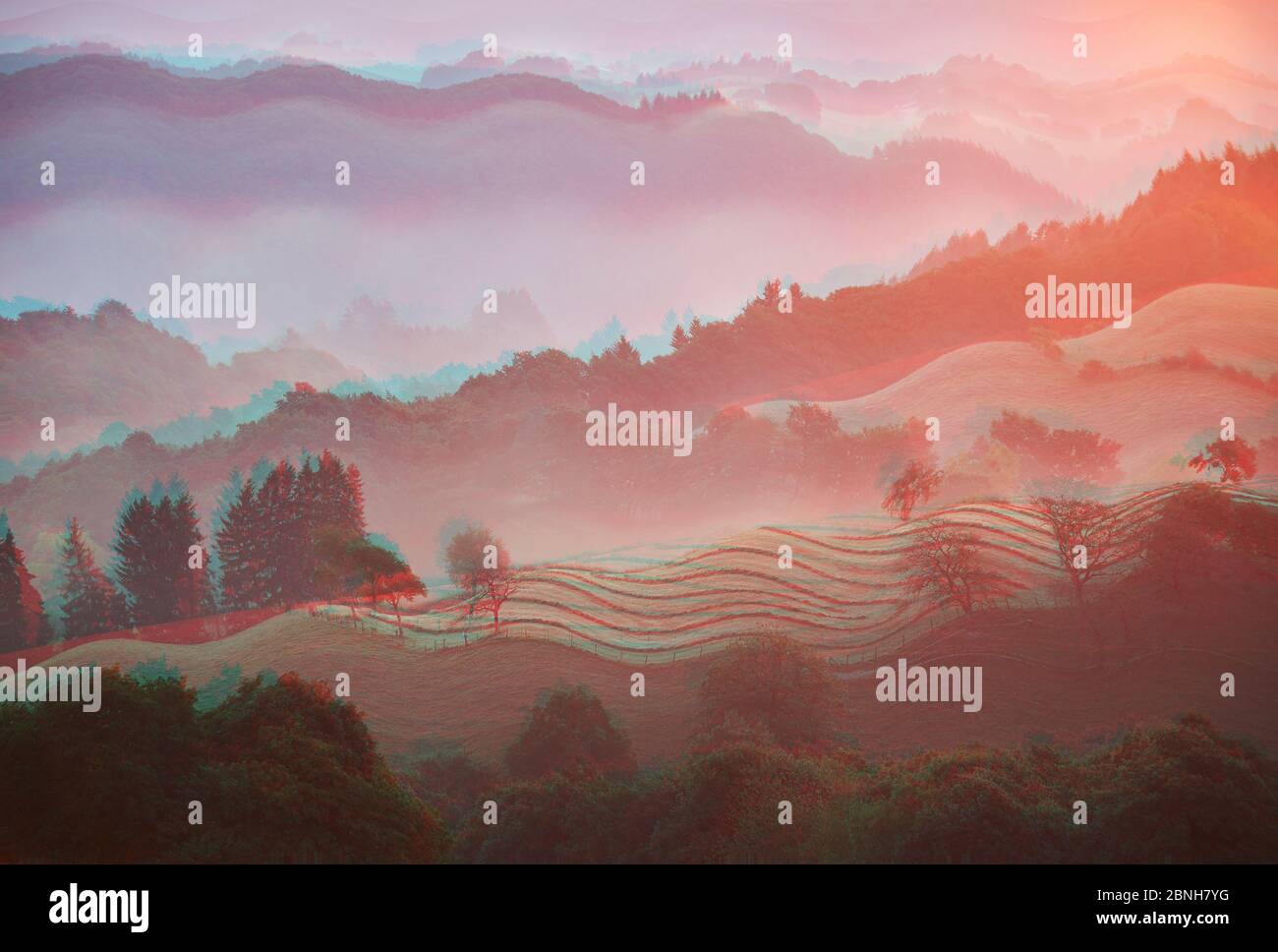 Beautiful shot of a valley with trees and mountains on a foggy day with ...