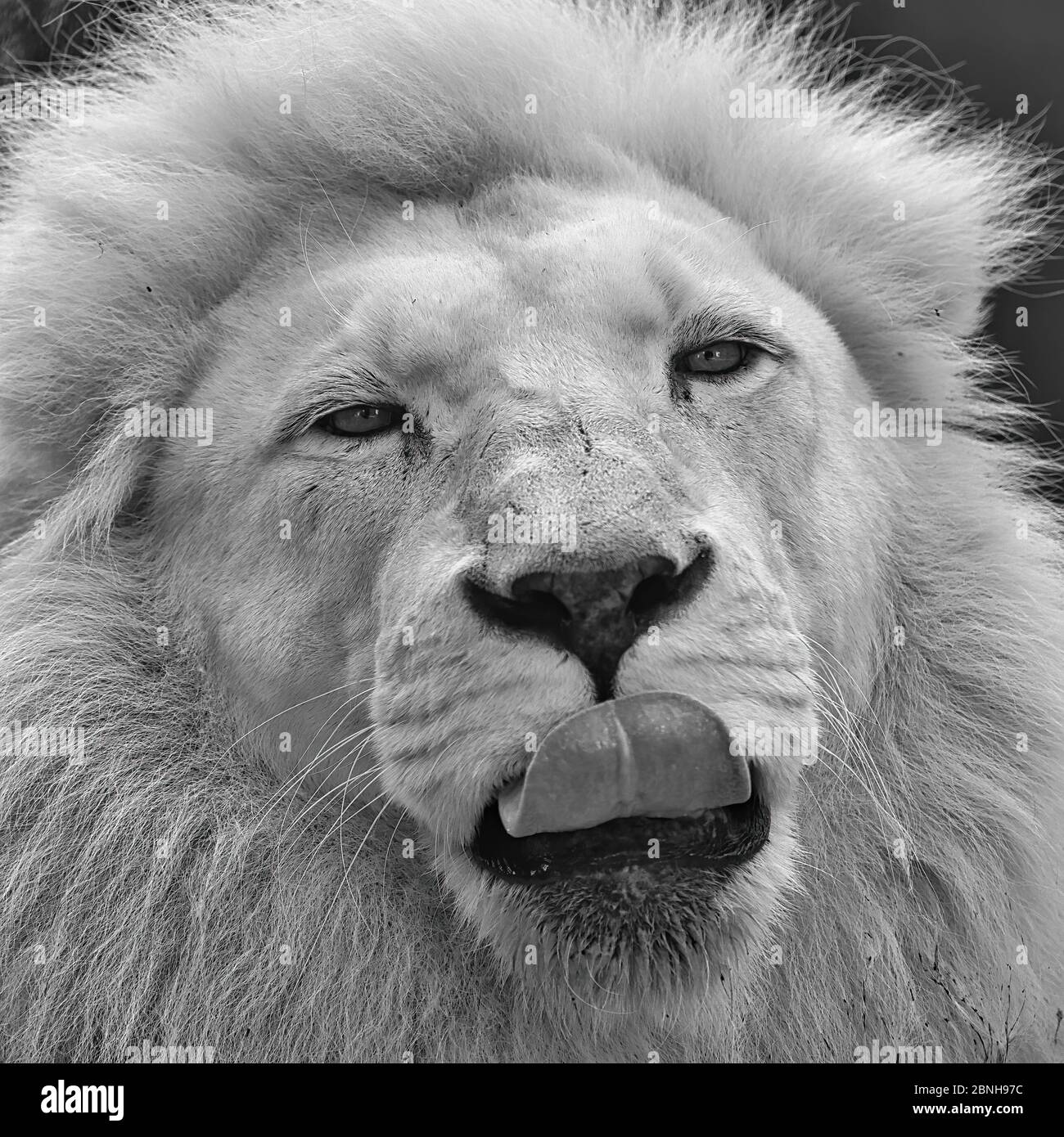 My Image 7