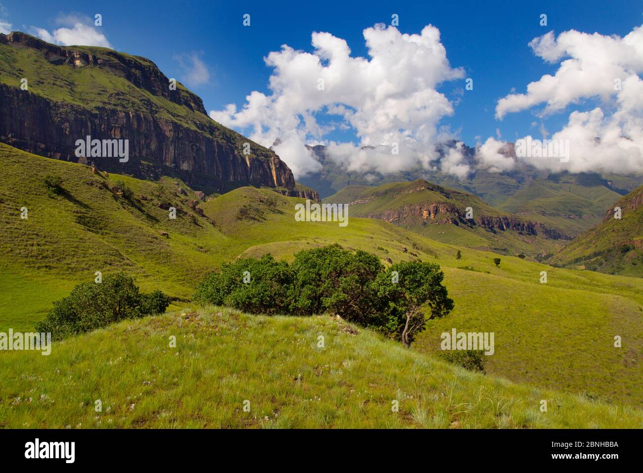 Cathedral peak drakensberg hi-res stock photography and images - Alamy