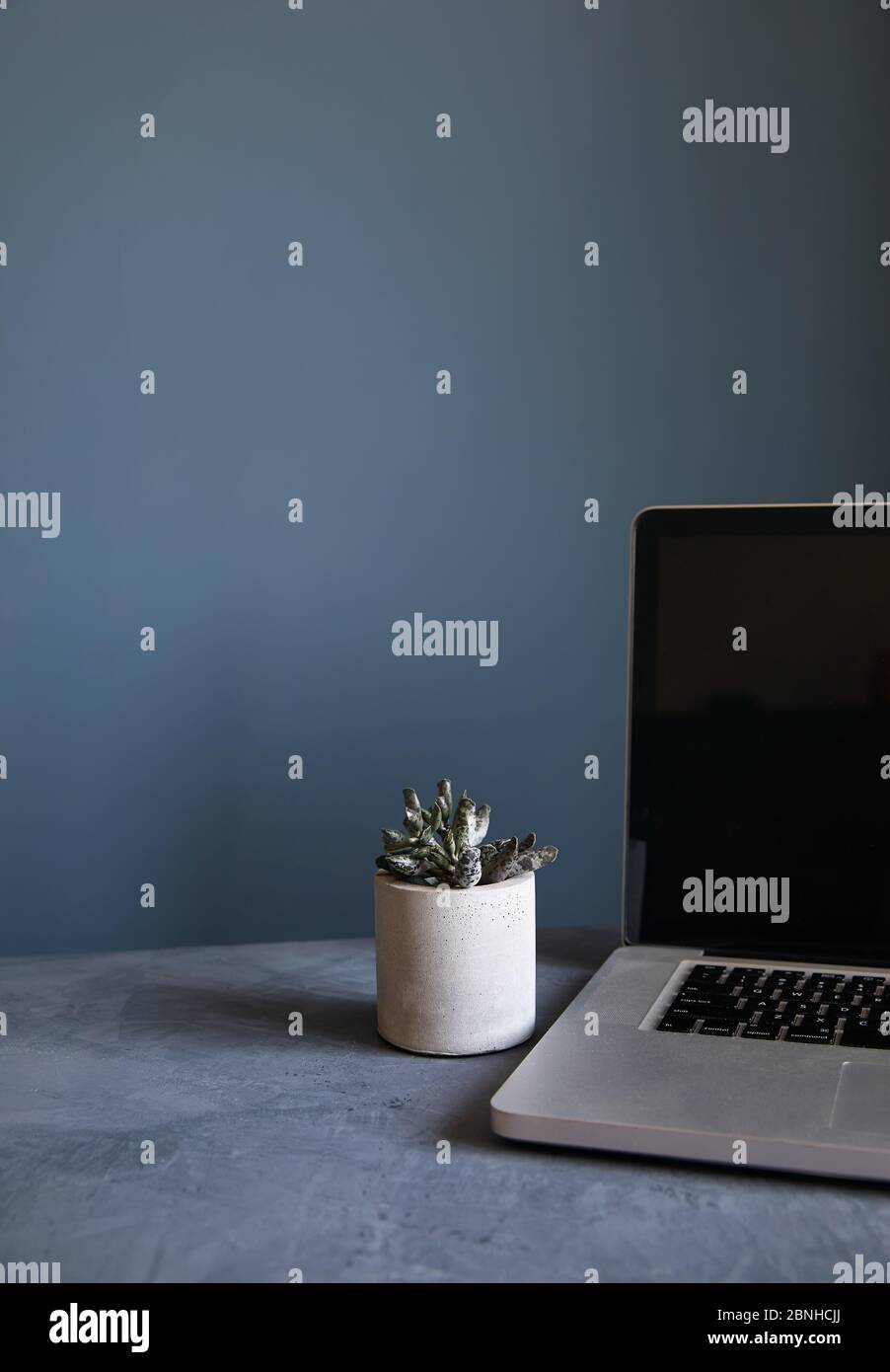 Empty workspace with laptop and plant at stone grey wall background. Working from home concept. Stock Photo