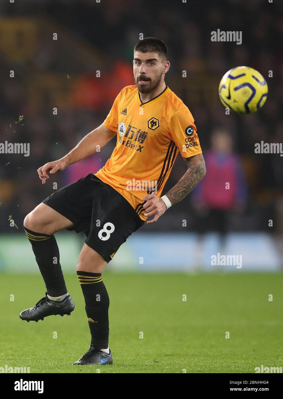 Ruben neves wolves celebration hi-res stock photography and images - Alamy