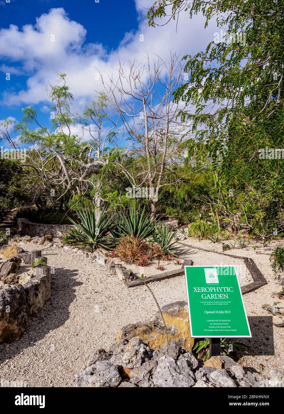 Xerophytic Garden, Queen Elizabeth II Botanic Park, North Side, Grand Cayman, Cayman Islands Stock Photo
