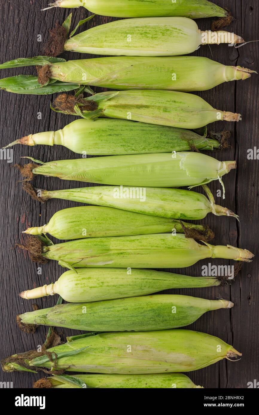 sweet corn, grain food, fresh corn, drawn , wood background, grilled corn, sweet corn, yellow corn Stock Photo