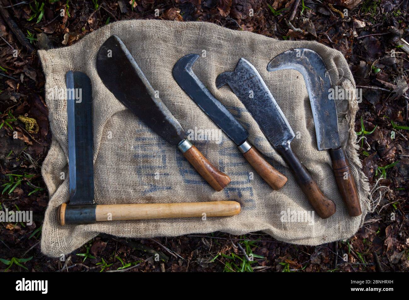 Bill hook tool hi-res stock photography and images - Alamy