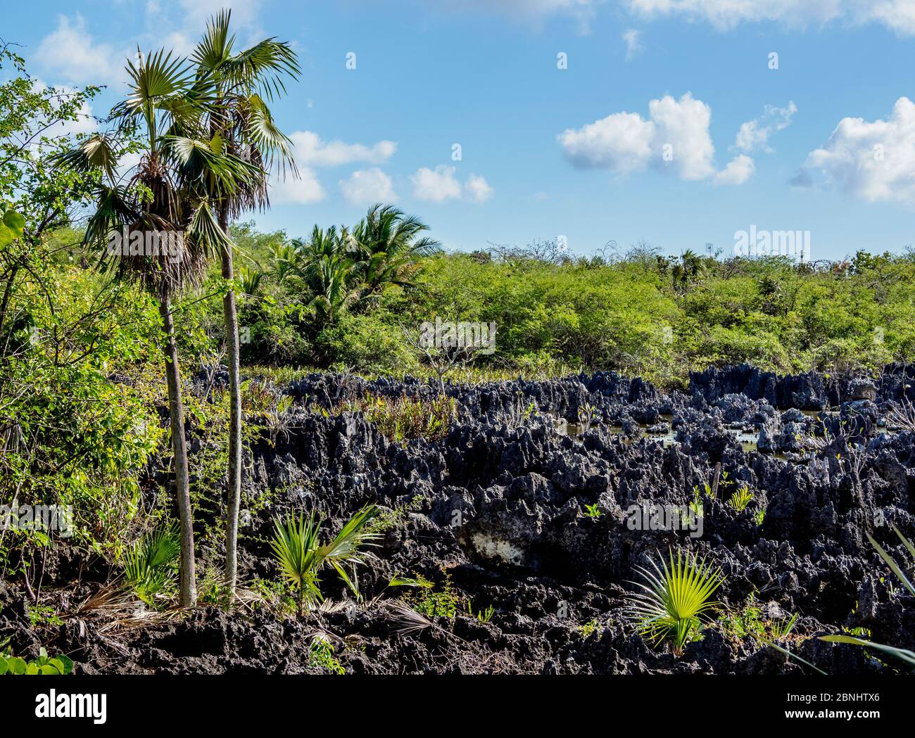 Landscape of Hell, West Bay, Grand Cayman, Cayman Islands Stock Photo