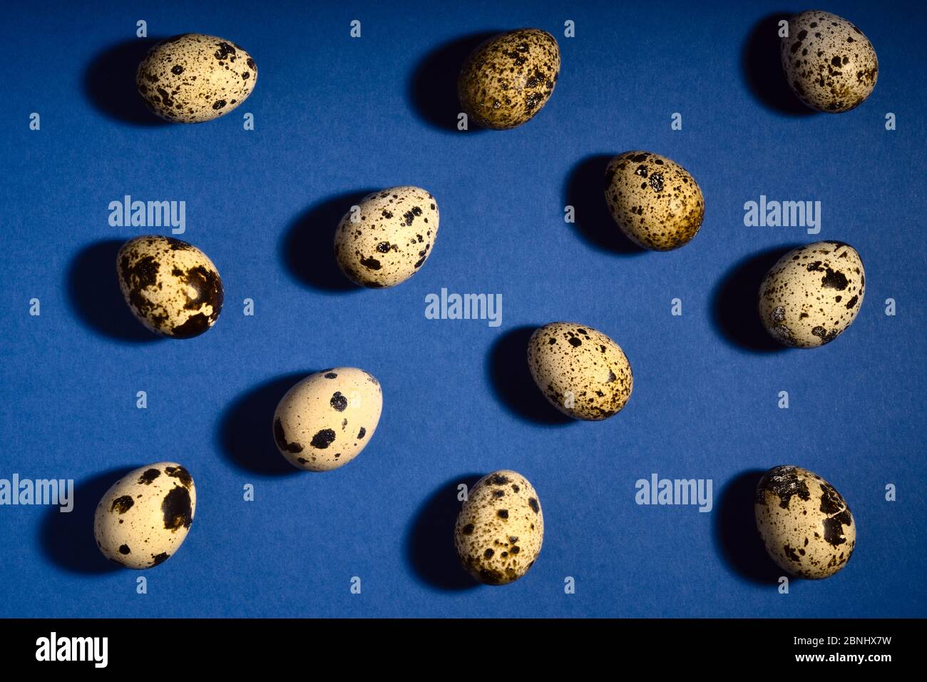 Creative quail egg layout on blue background. Quail eggs pattern. Happy easter concept. Minimal design. Copy space, flat lay, from above. Trendy color Stock Photo