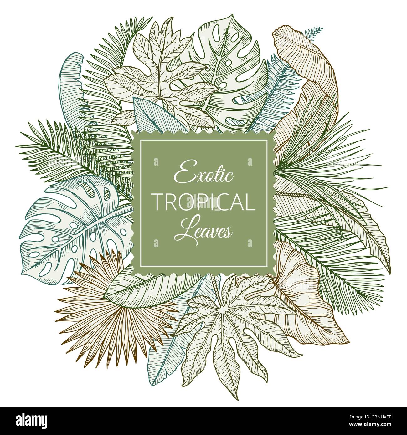 Tropical leaves illustrations hi-res stock photography and images - Alamy