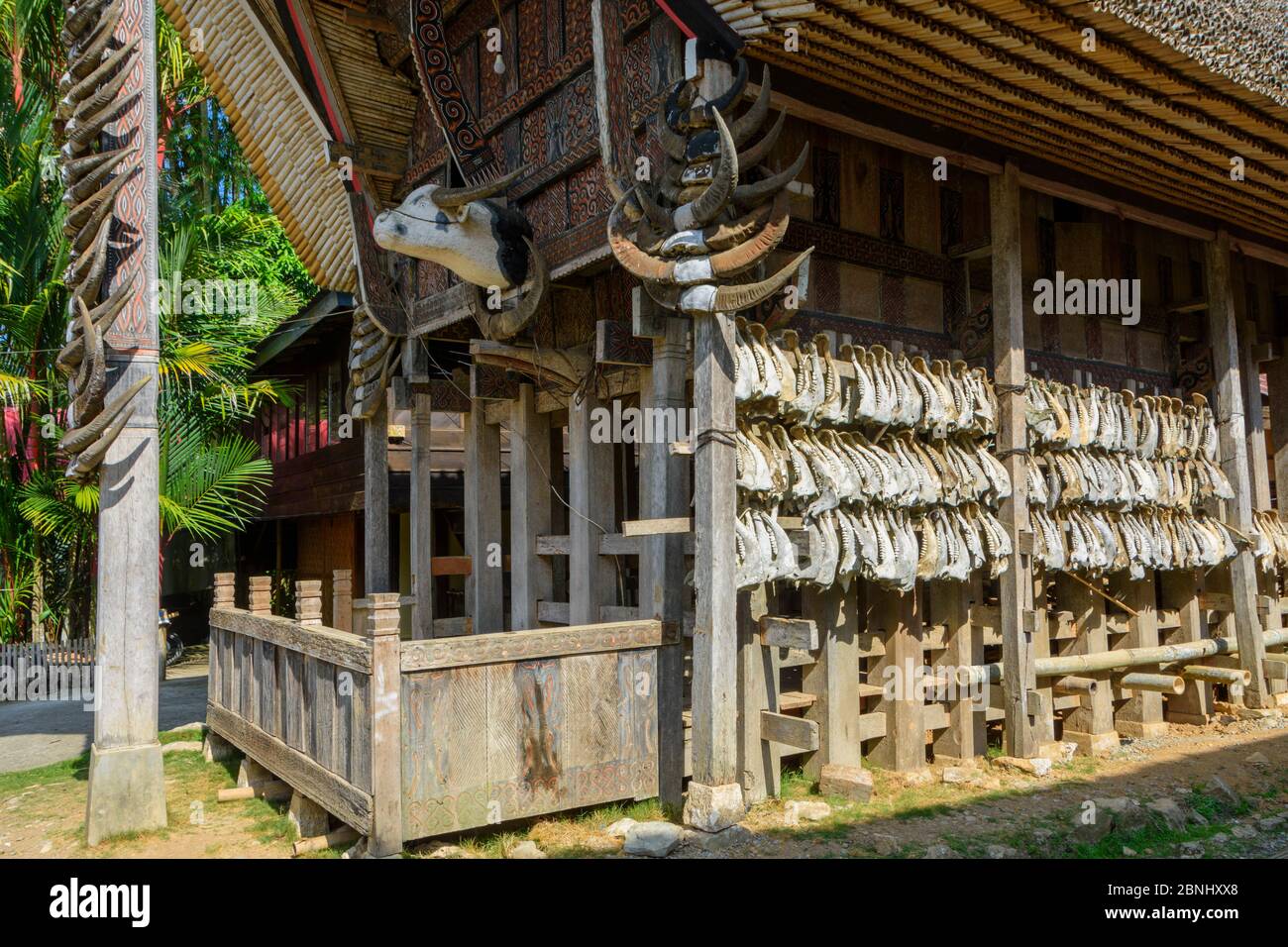 Buffalo jaws and horns on a tongkonan, the ceremonial house in TanaToraja, Sulawesi, Indonesia Stock Photo