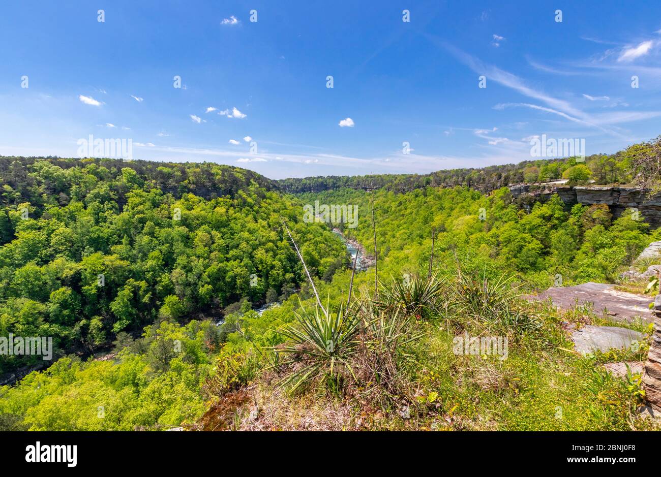 Looking out over the canyon at Little River Canyon national preserve Stock Photo