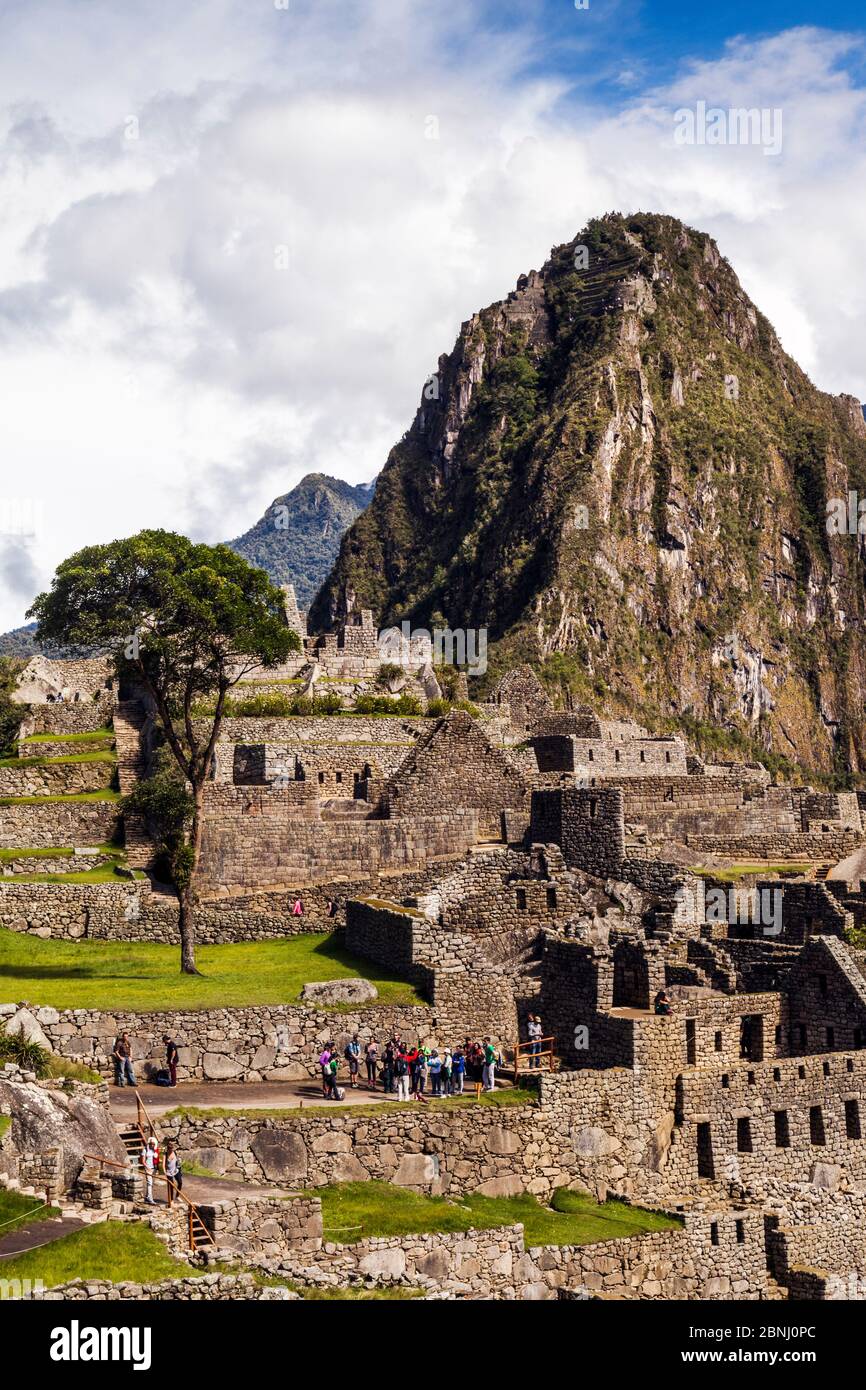 Machu Picchu in morning. Cusco Region, Urubamba Province, Peru. December 2013. Stock Photo