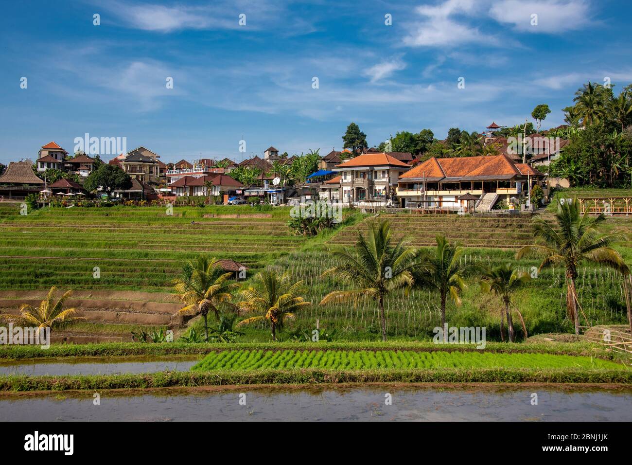Traditional village with rice terraces Jatiluwih Bali Indonesia Stock Photo