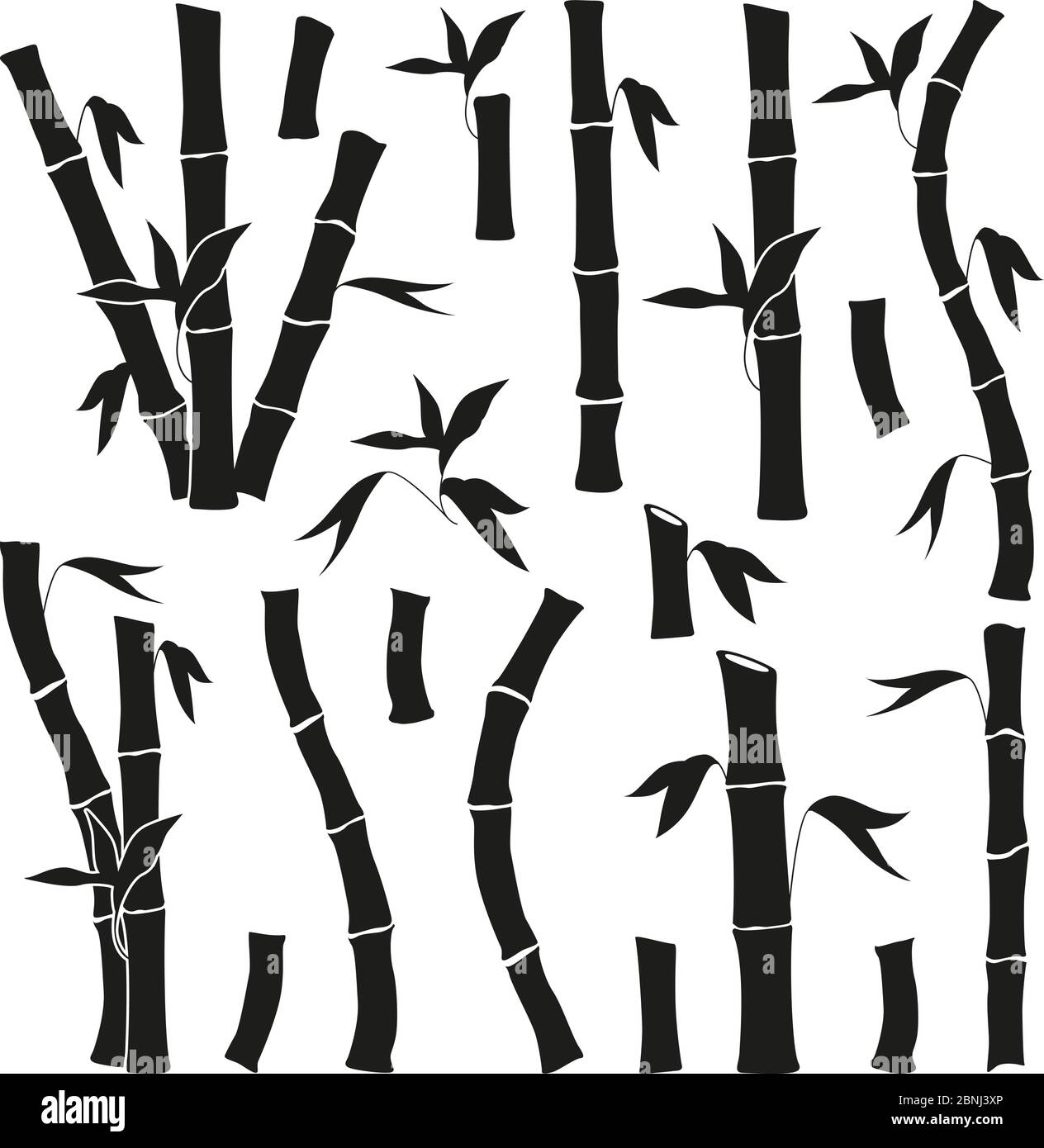 Monochrome pictures set of bamboo. Jungle plants isolate on white Stock Vector