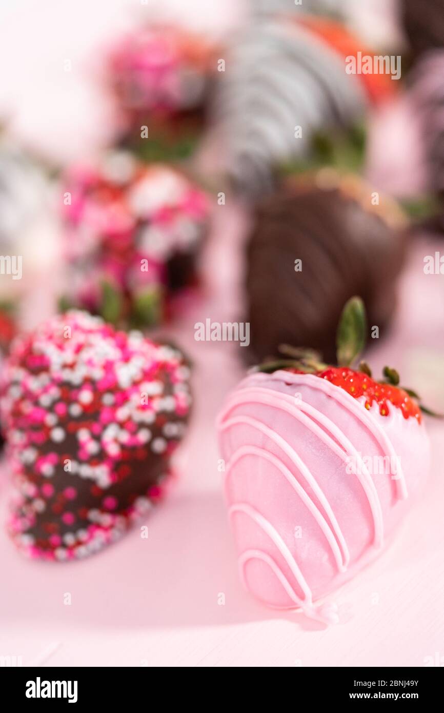 Variety of chocolate dipped strawberries on a pink background Stock ...