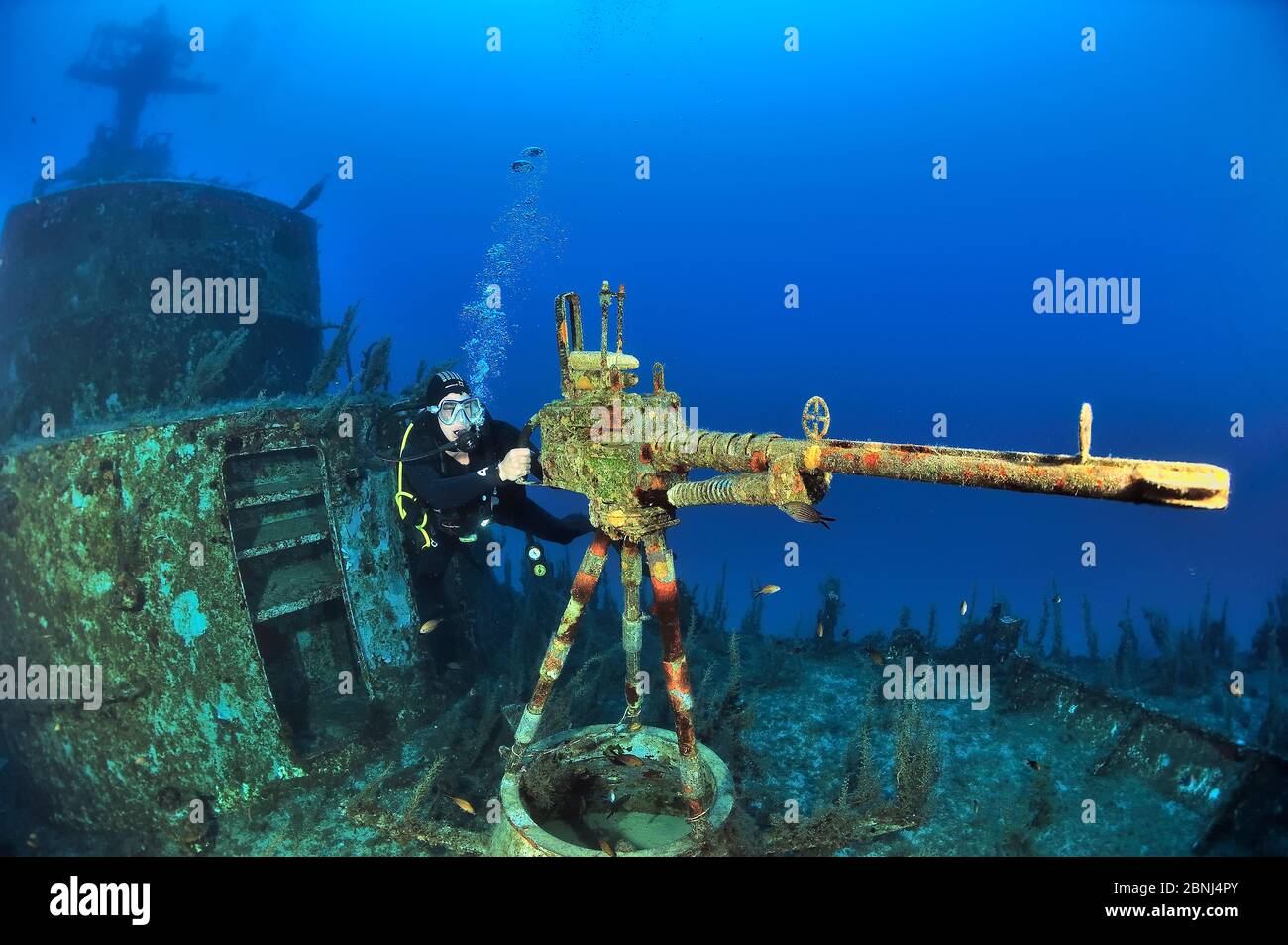 A diver near the machine gun on the deck of the wreck of the P 29 a patrol boat scuttled as an artificial dive site in August 2007, Malta, Mediterrane Stock Photo