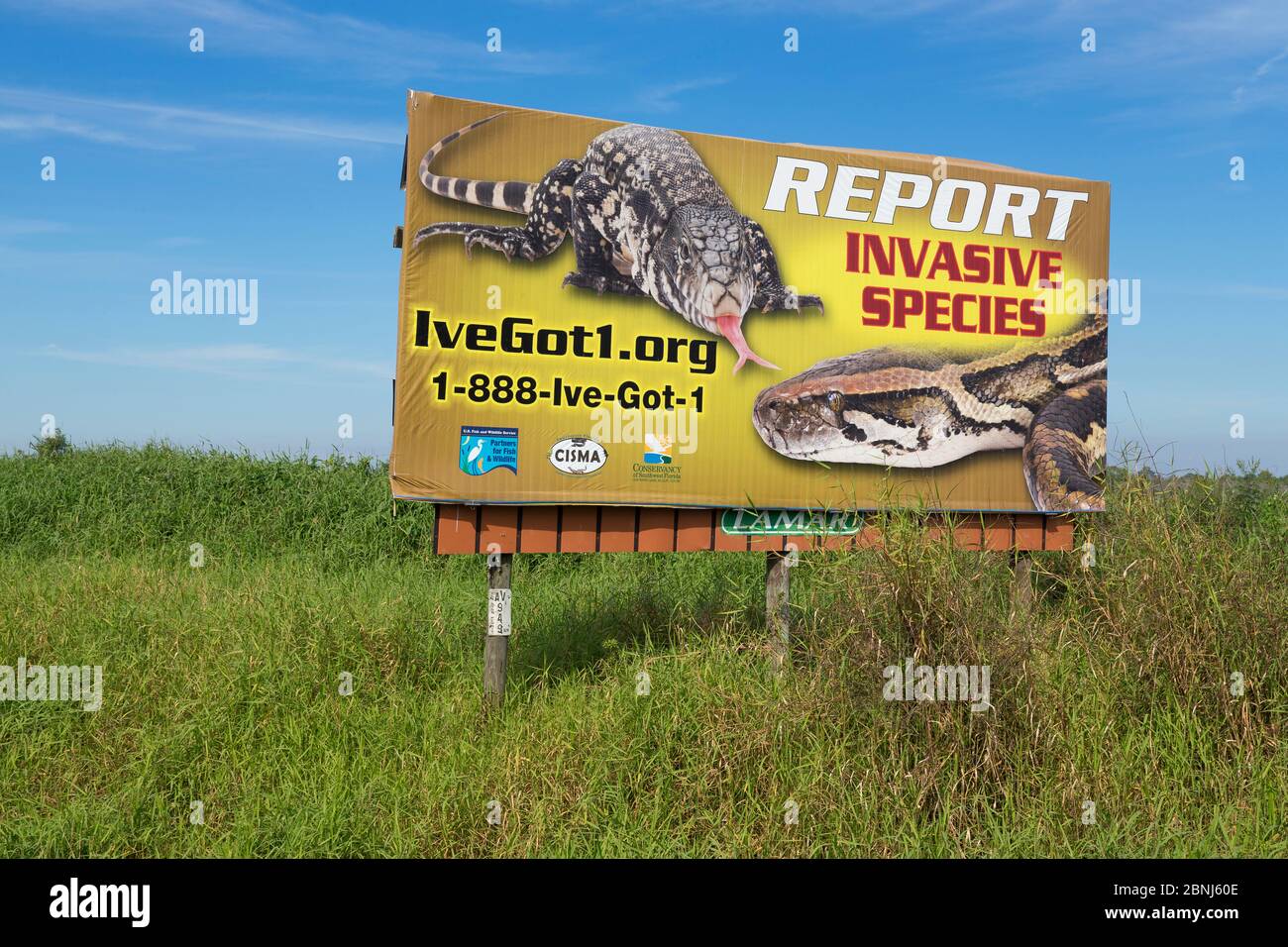 Sign request to report invasive animal species, Everglades, Florida ...