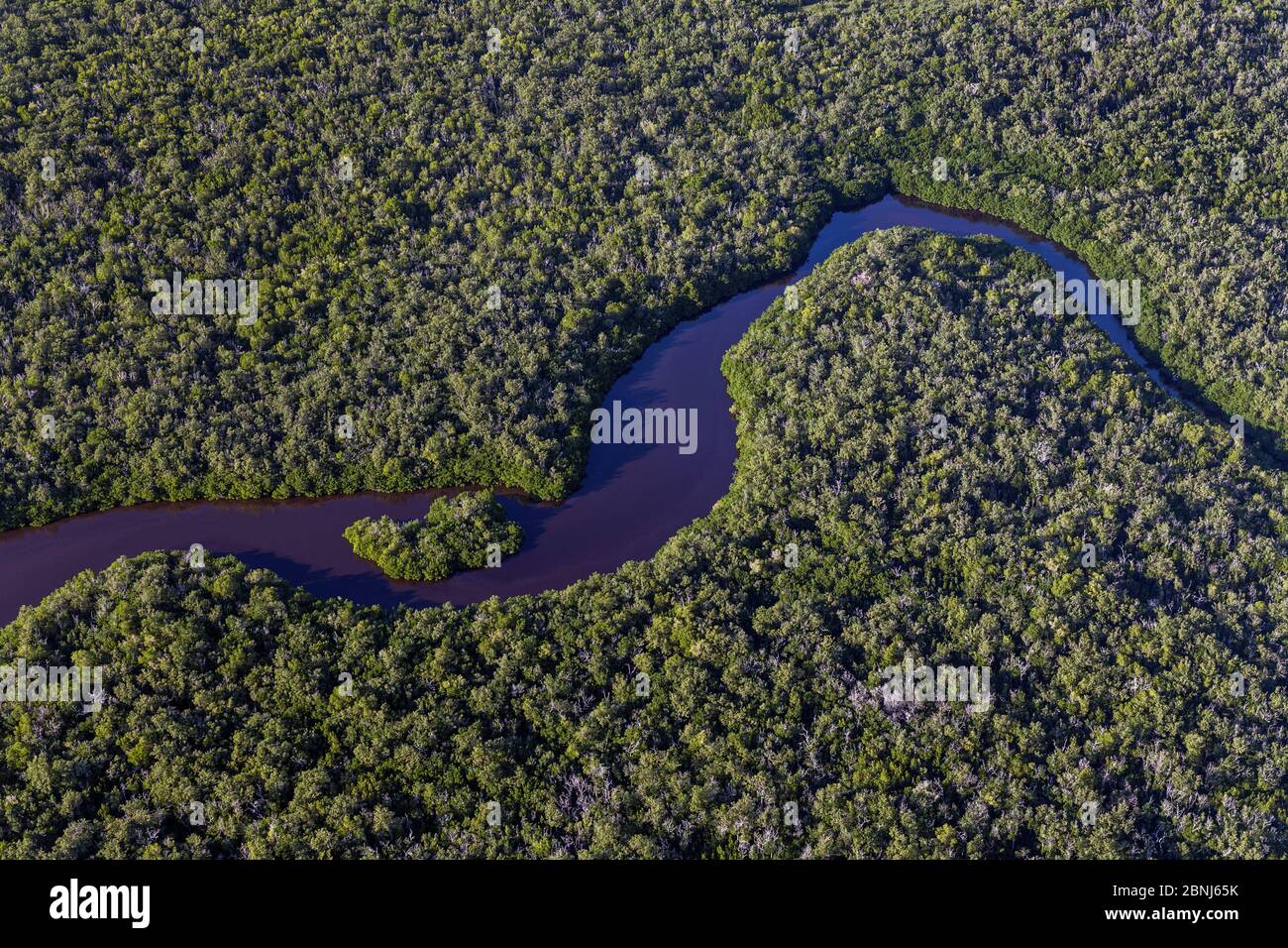 Aerial view of water channel in wetland with Mangrove and Cypress trees, aerial shot, Everglades National Park, Florida, USA, January 2015. Stock Photo