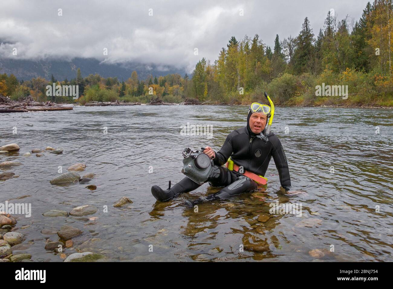 Wildlife Photographer Ingo Arndt taking underwater pictures of sockeye salmon (Oncorhynchus nerka). Adams River, Roderick Haig-Brown Provincial Park, Stock Photo