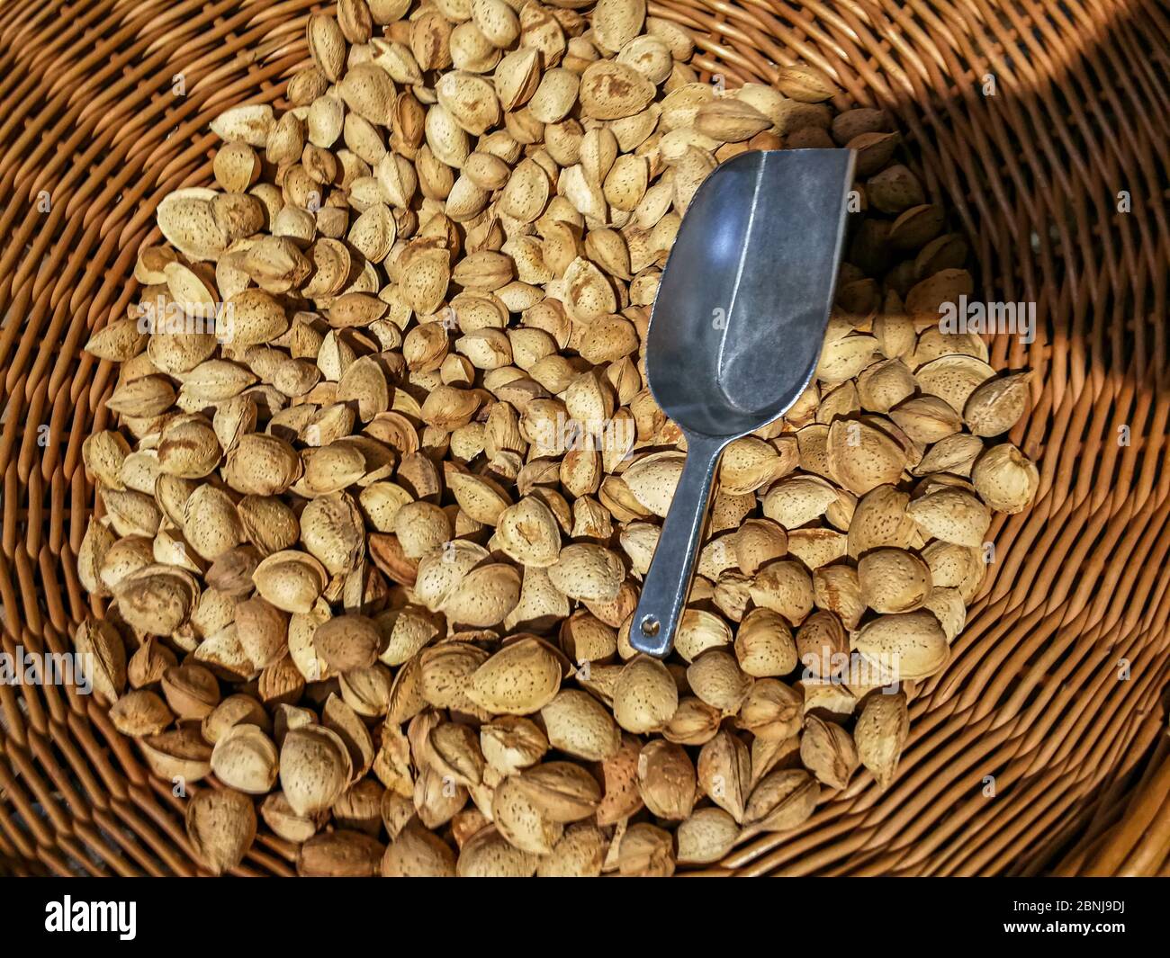Almond kernels - Prunus dulcis - stone fruit Stock Photo