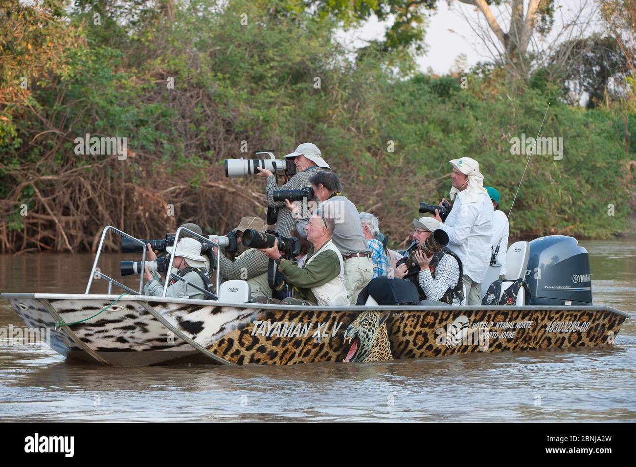 Tourists in boat on river photographing Jaguars. Cuiaba River. Porto Jofre, northern Pantanal, Mato Grosso State, Brazil. September Stock Photo