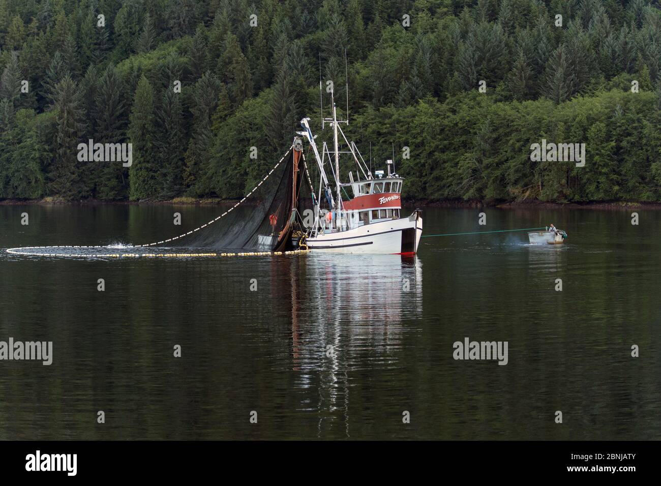 Seine Net Fishing in Southeast Alaska Stock Photo - Alamy