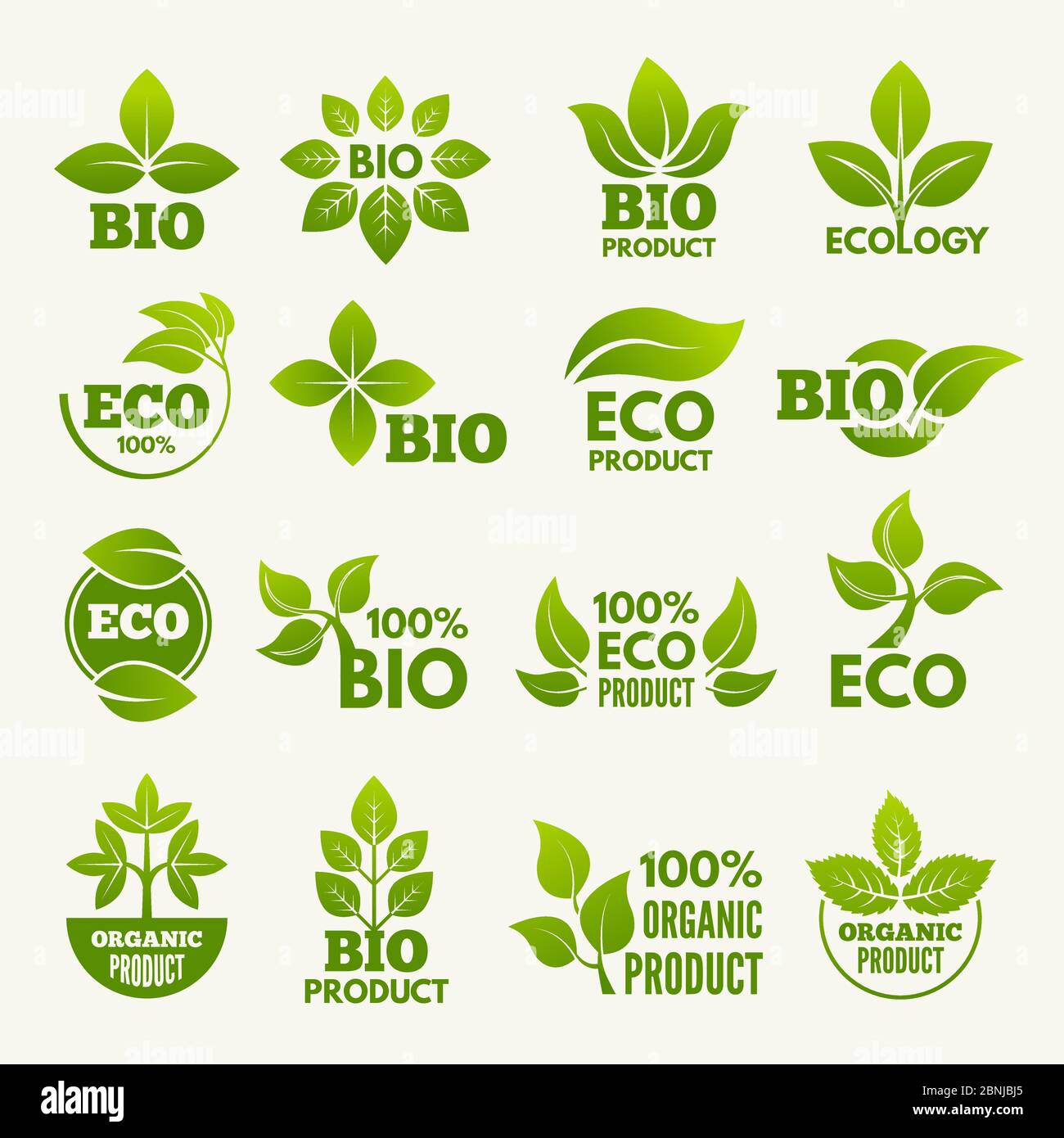 Organic eco logos and labels with illustrations of leaves Stock Vector