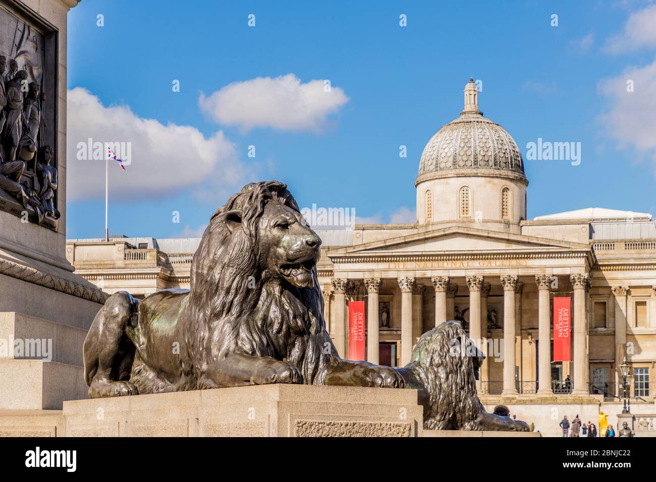 Trafalgar Square Lions and the National Gallery, Trafalgar Square, London, England, United Kingdom, Europe Stock Photo