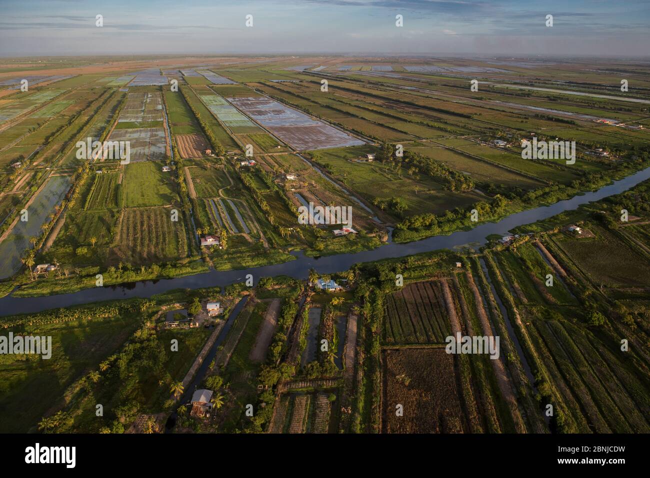 Aerial view of mixed agriculture fields of East Demerara Conservancy