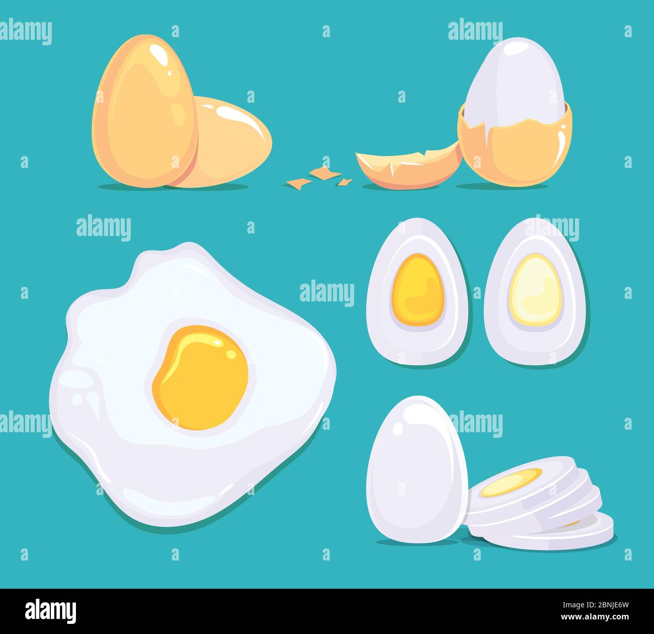 Raw and cooked eggs in different conditions. Vector cartoon pictures