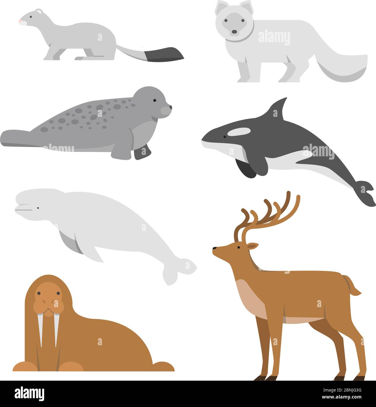 Northern and arctic animals. Vector illustrations in flat style Stock Vector