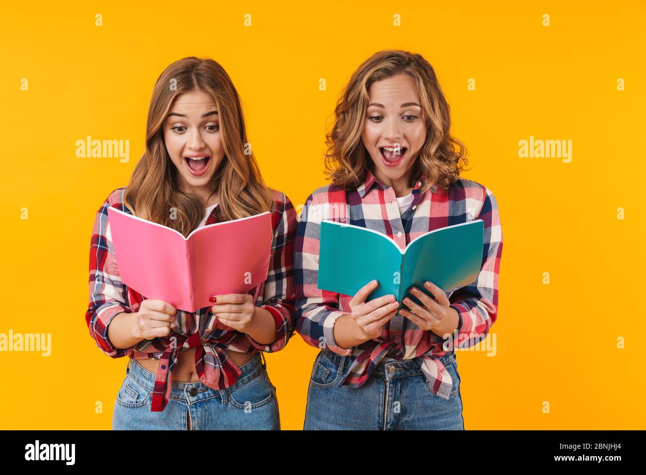 Image of two young beautiful girls wearing plaid shirts smiling and holding diary books isolated over yellow background Stock Photo