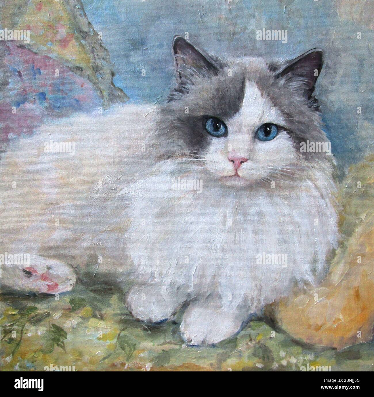 Portrait of a ragdoll cat, oil painting Stock Photo Alamy