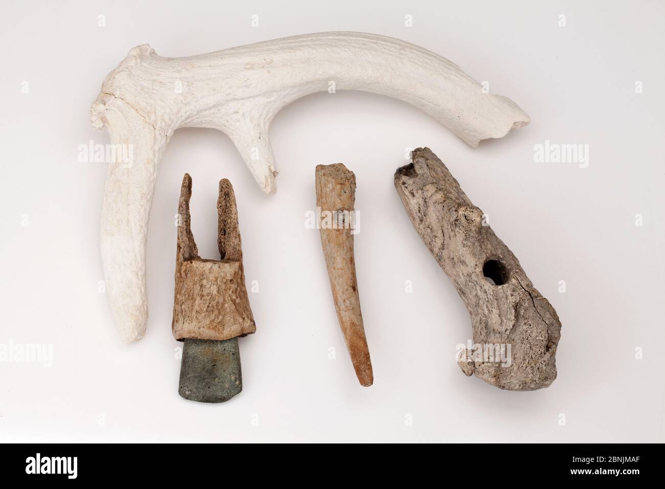 Four tools of the mesolithic / neolithic period  made from Red deer antlers. Dates range from approximately 5000 - 2000 BC. From left (and top) an ant Stock Photo