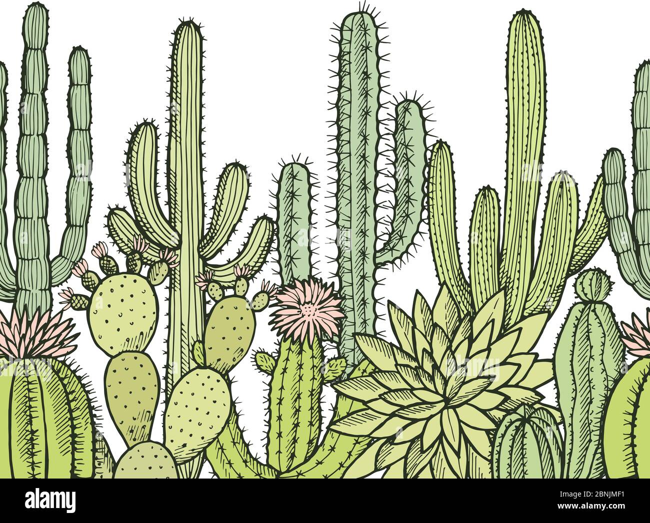 Horizontal seamless pattern with illustrations of wild cactuses Stock Vector