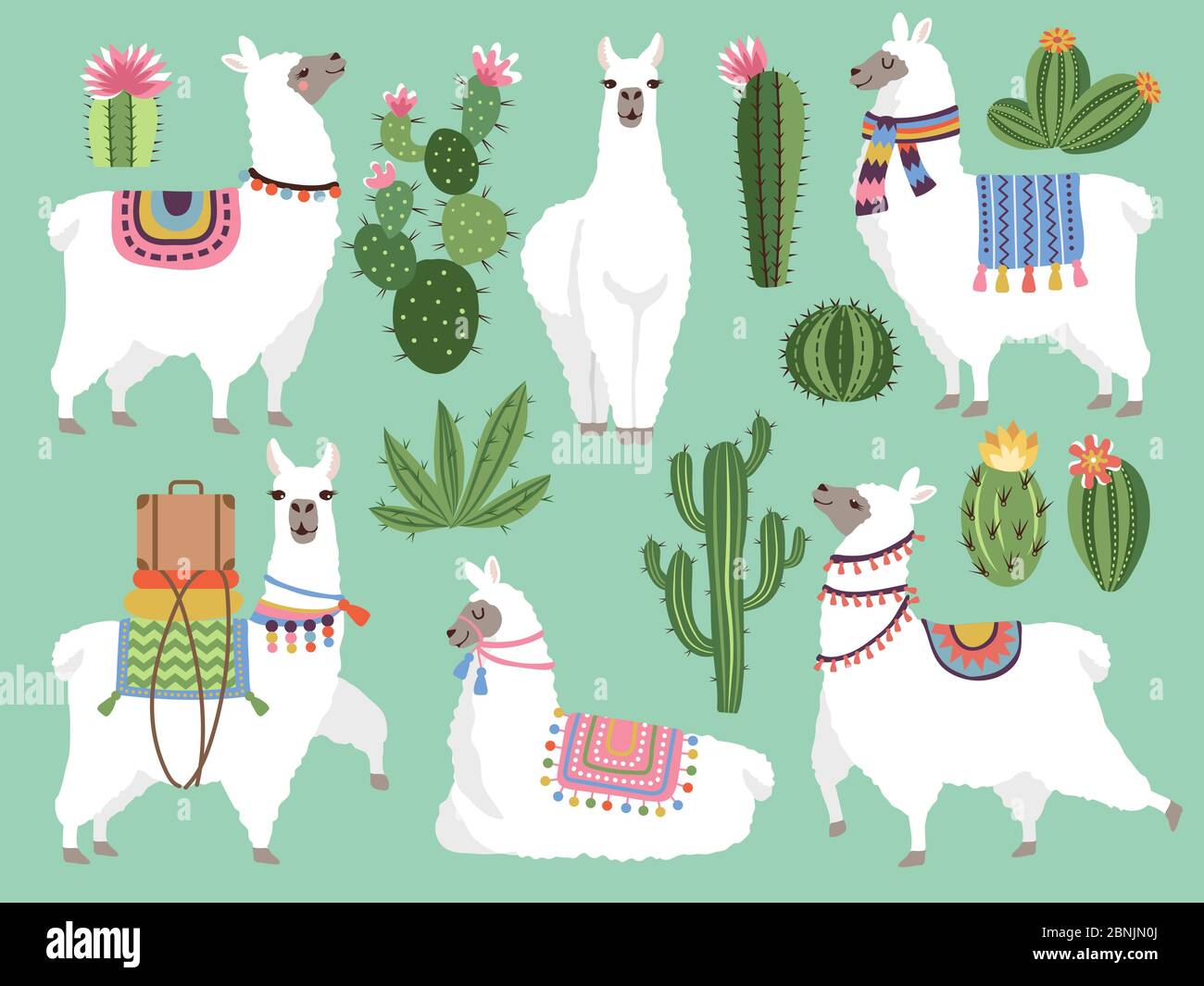 Set illustrations of animals. Llama and alpaca wool Stock Vector