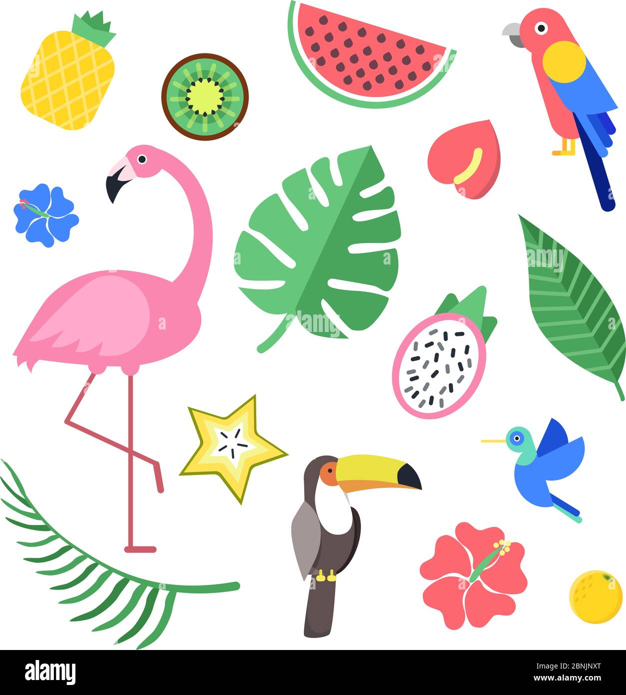 Flowers and tropical exotic fruits and birds. Vector illustrations isolate Stock Vector