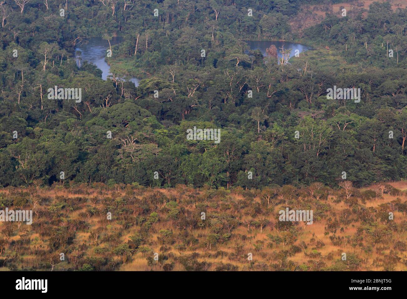 Patchwork of savannah and gallery forest, Bateke Plateau NP, Gabon. Stock Photo